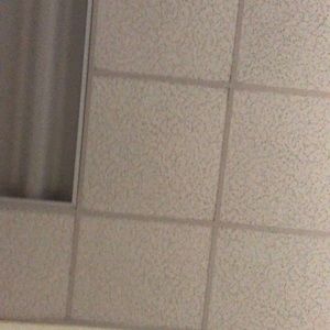 Meet your Posher, Luis